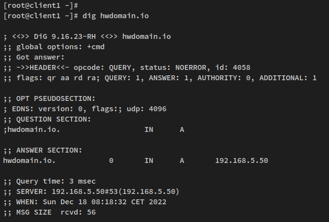 在 Rocky Linux 上用 dnsmasq 搭建本地 DNS 服务器