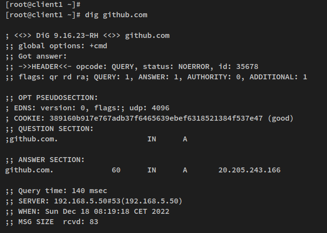 在 Rocky Linux 上用 dnsmasq 搭建本地 DNS 服务器