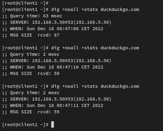 在 Rocky Linux 上用 dnsmasq 搭建本地 DNS 服务器