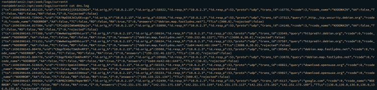在 Debian 12 上安装 Zeek 网络安全监控系统