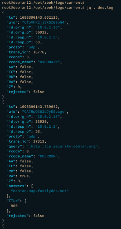 在 Debian 12 上安装 Zeek 网络安全监控系统