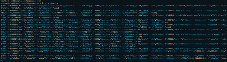 在 Debian 12 上安装 Zeek 网络安全监控系统
