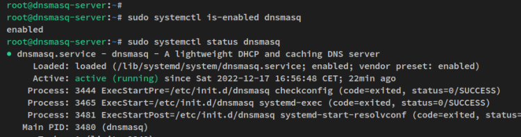 在 Debian 12 上用 dnsmasq 搭建本地 DNS 服务器