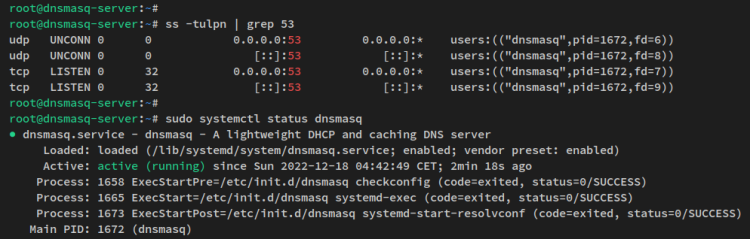在 Debian 12 上用 dnsmasq 搭建本地 DNS 服务器