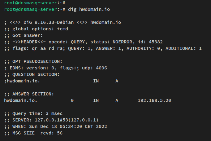 在 Debian 12 上用 dnsmasq 搭建本地 DNS 服务器