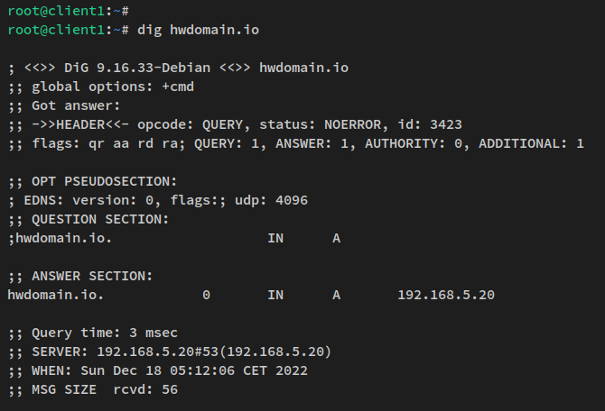 在 Debian 12 上用 dnsmasq 搭建本地 DNS 服务器
