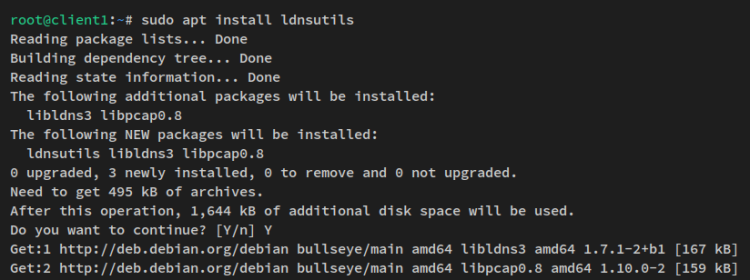 在 Debian 12 上用 dnsmasq 搭建本地 DNS 服务器