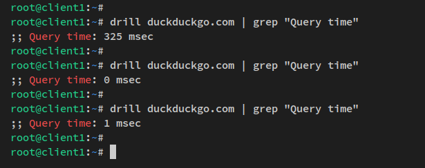 在 Debian 12 上用 dnsmasq 搭建本地 DNS 服务器
