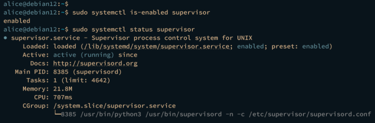在 Debian 12 上使用 Nginx 和 Gunicorn 部署 Flask 应用