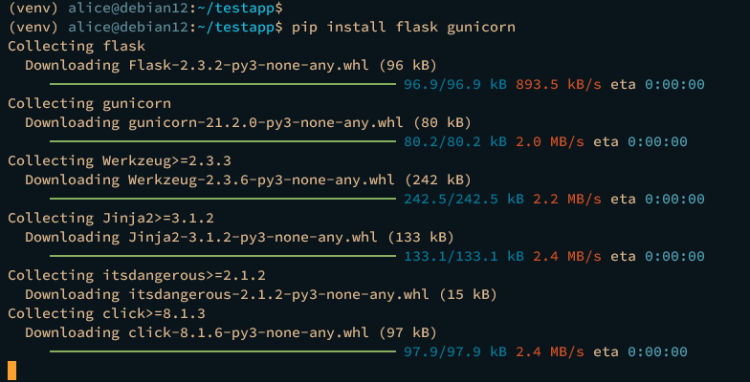 在 Debian 12 上使用 Nginx 和 Gunicorn 部署 Flask 应用
