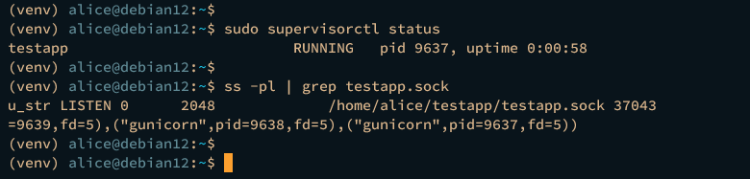 在 Debian 12 上使用 Nginx 和 Gunicorn 部署 Flask 应用