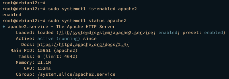 在 Debian 12 上使用 Apache 安装 TYPO3 CMS