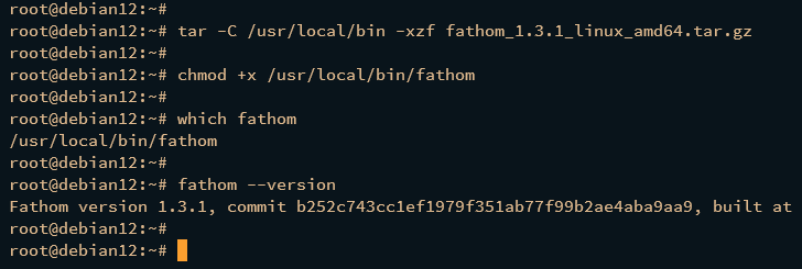 在 Debian 12 上安装 Fathom 隐私优先网站分析平台