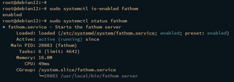 在 Debian 12 上安装 Fathom 隐私优先网站分析平台
