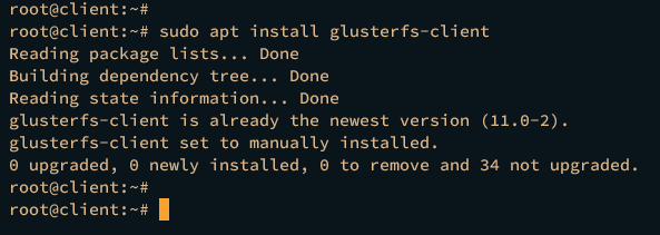 在 Debian 12 上搭建三节点 GlusterFS 集群