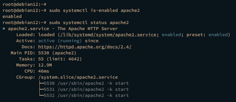 在 Debian 12 上安装 Pydio Cells 文件管理平台
