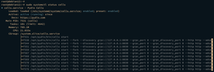 在 Debian 12 上安装 Pydio Cells 文件管理平台