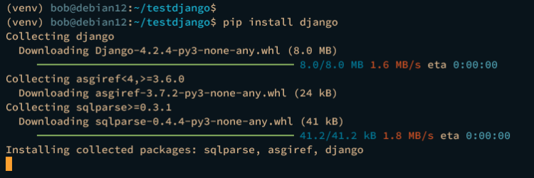 在 Debian 12 上安装 Django Web 框架