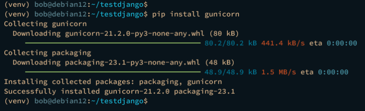 在 Debian 12 上安装 Django Web 框架