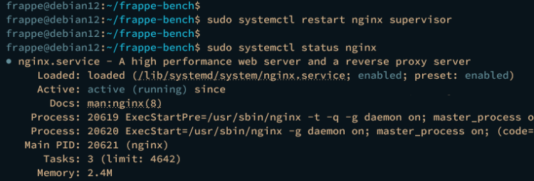 在 Debian 12 上安装 ERPNext 开源 ERP 系统