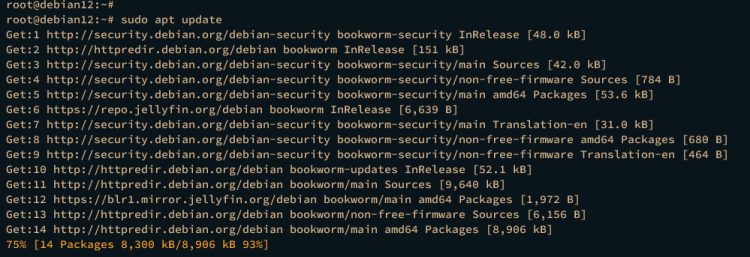 在 Debian 12 上安装 Jellyfin 媒体服务器