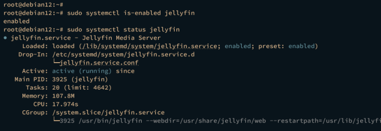 在 Debian 12 上安装 Jellyfin 媒体服务器