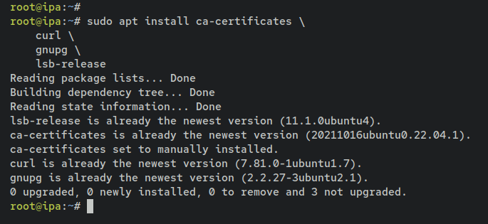 如何在 Debian 12 上通过 Docker 安装 FreeIPA Server
