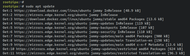 如何在 Debian 12 上通过 Docker 安装 FreeIPA Server