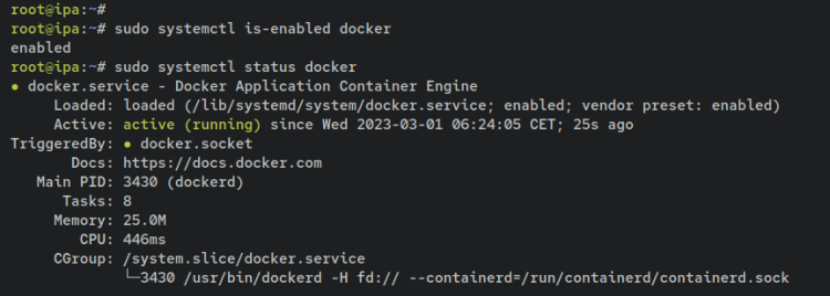 如何在 Debian 12 上通过 Docker 安装 FreeIPA Server