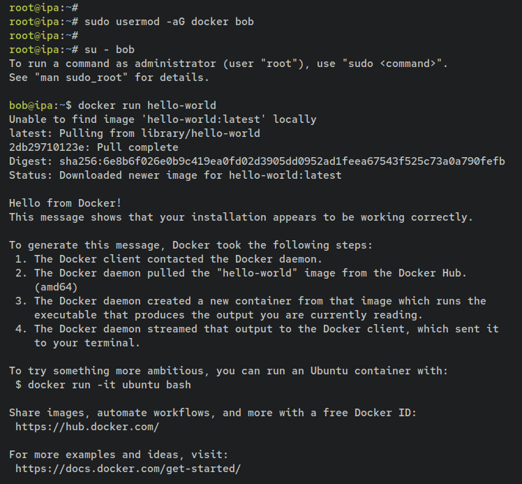 如何在 Debian 12 上通过 Docker 安装 FreeIPA Server
