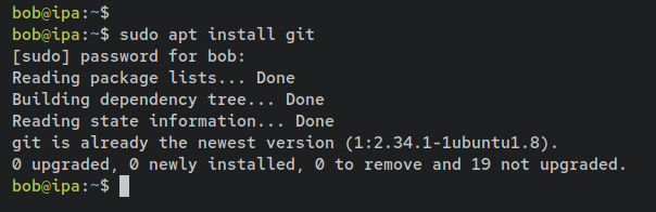 如何在 Debian 12 上通过 Docker 安装 FreeIPA Server