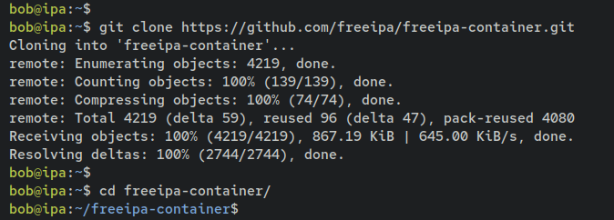 如何在 Debian 12 上通过 Docker 安装 FreeIPA Server