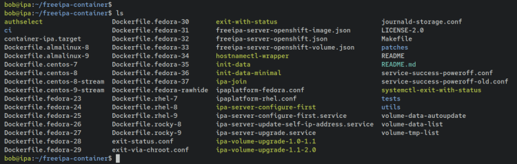 如何在 Debian 12 上通过 Docker 安装 FreeIPA Server