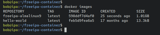 如何在 Debian 12 上通过 Docker 安装 FreeIPA Server
