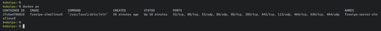 如何在 Debian 12 上通过 Docker 安装 FreeIPA Server