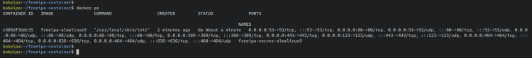 如何在 Debian 12 上通过 Docker 安装 FreeIPA Server