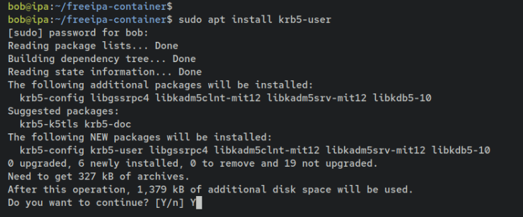 如何在 Debian 12 上通过 Docker 安装 FreeIPA Server