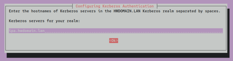 如何在 Debian 12 上通过 Docker 安装 FreeIPA Server
