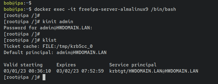 如何在 Debian 12 上通过 Docker 安装 FreeIPA Server