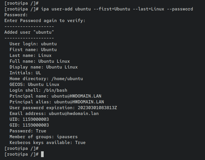 如何在 Debian 12 上通过 Docker 安装 FreeIPA Server