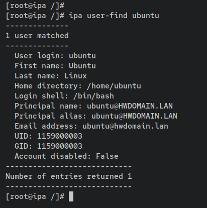 如何在 Debian 12 上通过 Docker 安装 FreeIPA Server