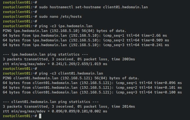如何在 Debian 12 上通过 Docker 安装 FreeIPA Server
