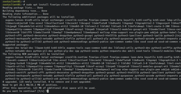 如何在 Debian 12 上通过 Docker 安装 FreeIPA Server
