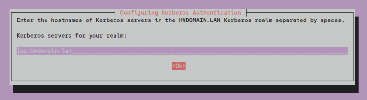 如何在 Debian 12 上通过 Docker 安装 FreeIPA Server