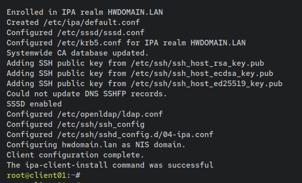 如何在 Debian 12 上通过 Docker 安装 FreeIPA Server