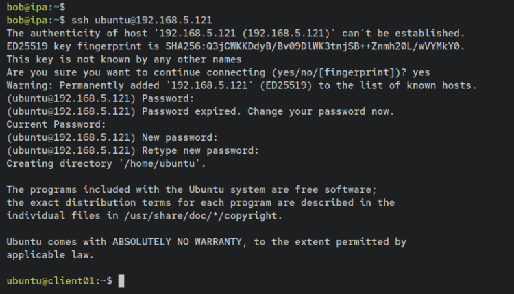 如何在 Debian 12 上通过 Docker 安装 FreeIPA Server