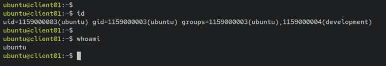 如何在 Debian 12 上通过 Docker 安装 FreeIPA Server