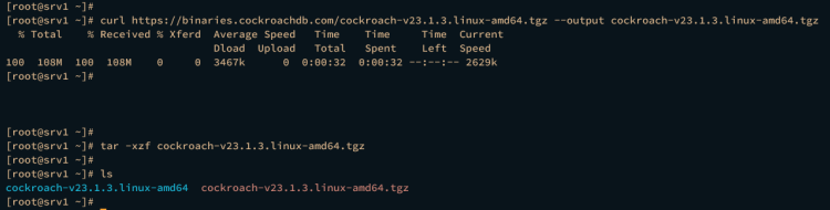 如何在 AlmaLinux 9 上安装 CockroachDB 集群