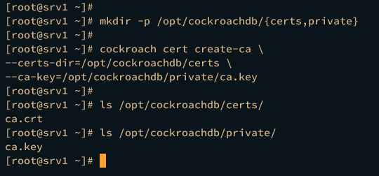 如何在 AlmaLinux 9 上安装 CockroachDB 集群