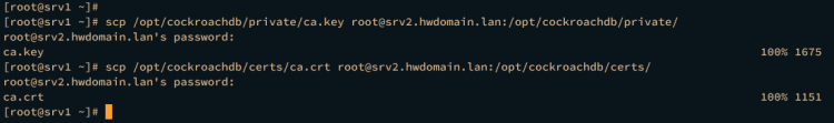 如何在 AlmaLinux 9 上安装 CockroachDB 集群